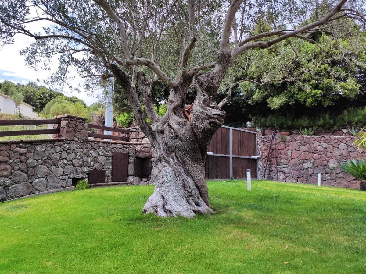 Casa Bados Villa Dorgali Exterior foto